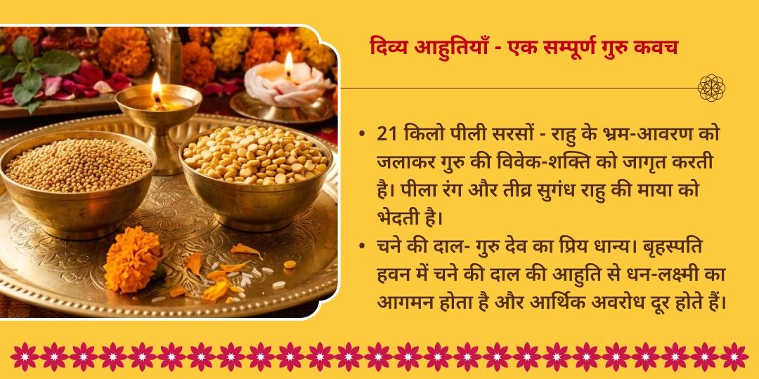 गुरु गोचर गुरु चंडाल दोष निवारण 21 किलो पीली सरसों हवन आहुति