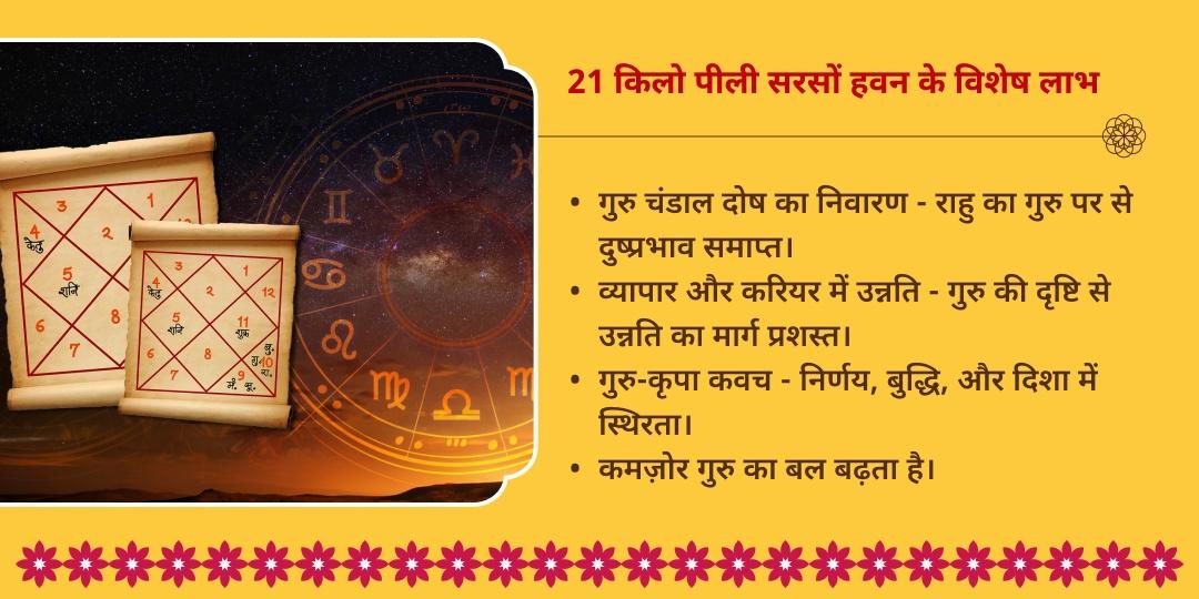 गुरु गोचर गुरु चंडाल दोष निवारण 21 किलो पीली सरसों हवन आहुति