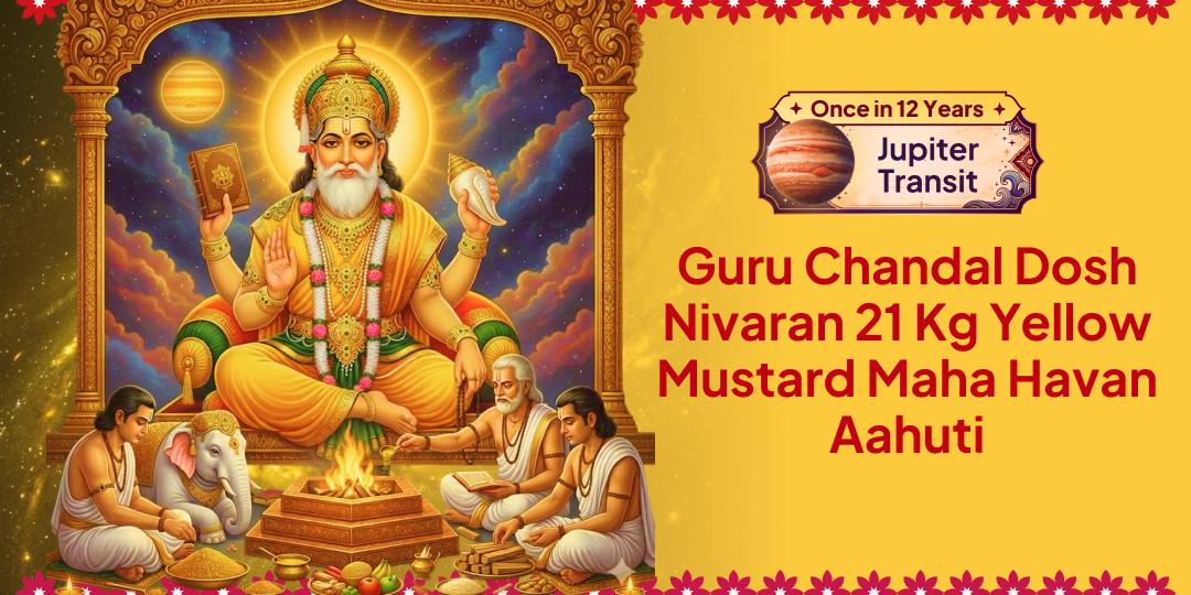 Once in 12 Years! On Guru Gochar - 21 Kg Yellow Mustard Maha Havan Ahuti for Complete Remedy for Guru Chandal Dosha. Join Now!