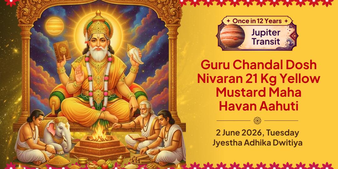 Guru Gochar Guru Chandal Dosh Nivaran 21 Kg Yellow Mustard Seeds Havan Ahuti