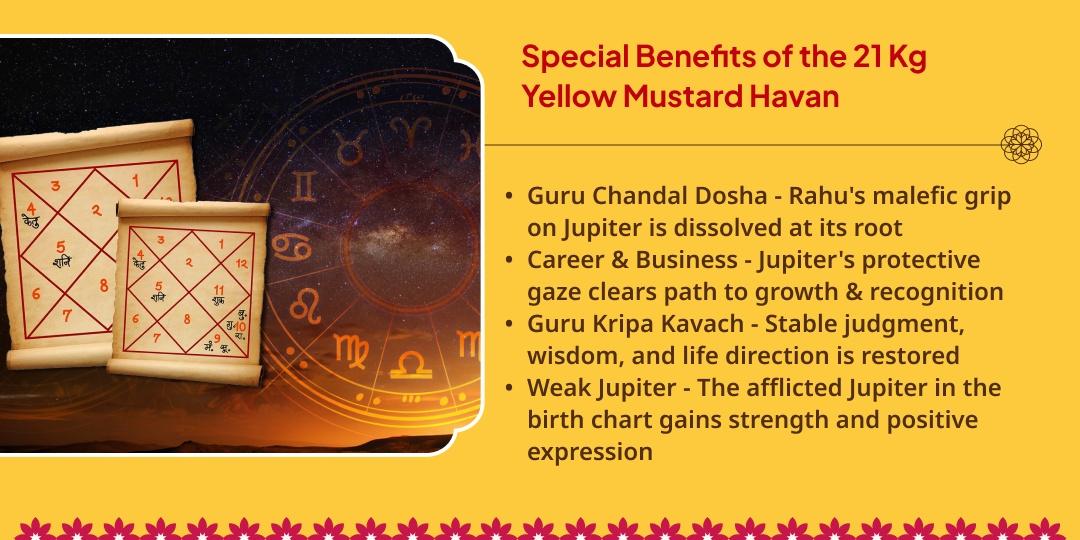 Guru Gochar Guru Chandal Dosh Nivaran 21 Kg Yellow Mustard Seeds Havan Ahuti