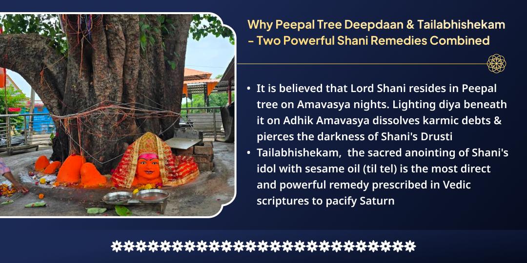 Adhik Amavasya Shani Krur Drusti Raksha Peepal Tree Deepdaan & Tailabhishekam 
