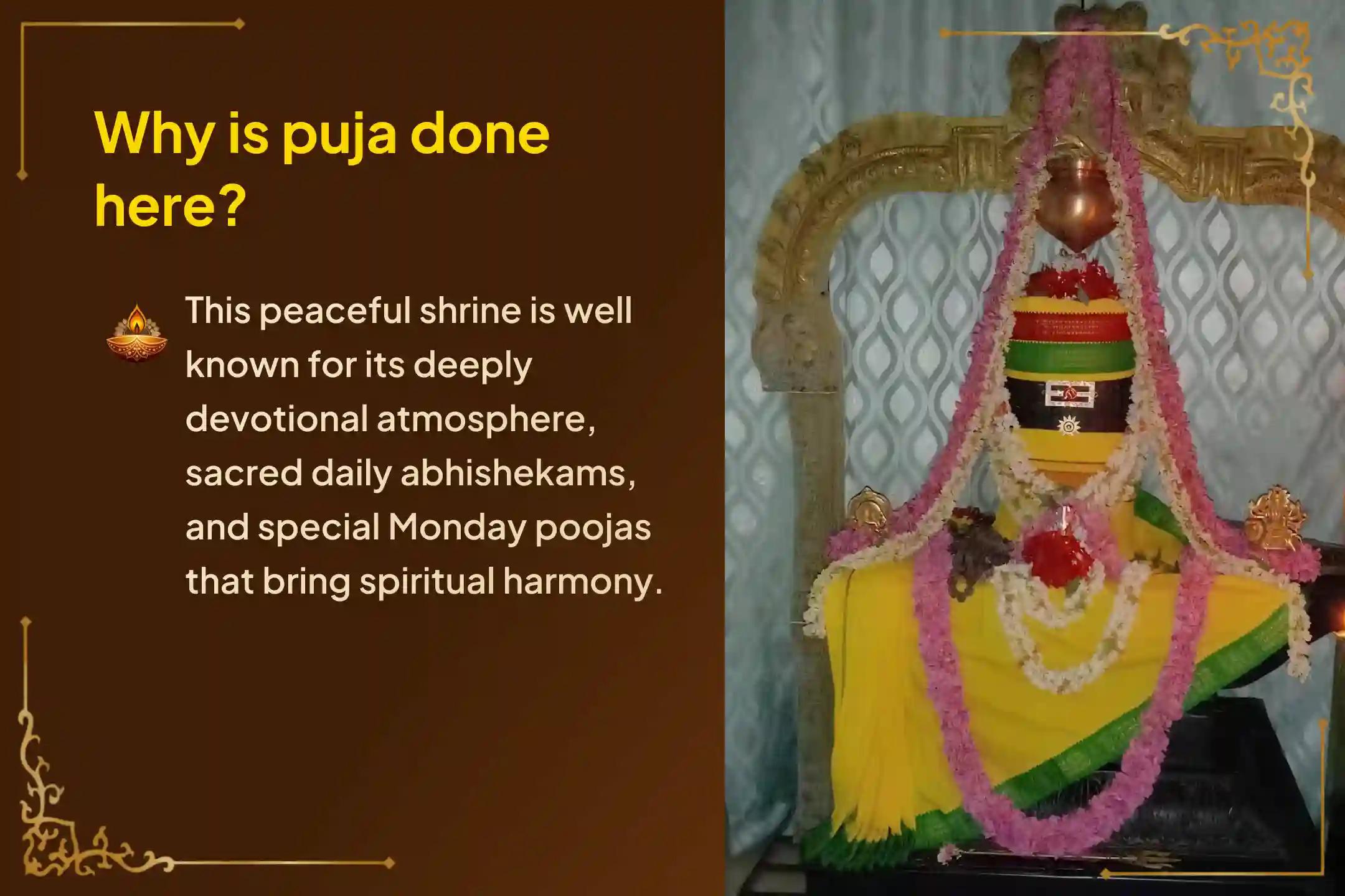 🕉️Participate in Guru Transit - Adi Guru Shiva Dakshinamurthy Special Sri Dakshinamurthy Stotram Parayanam and Maha Abhishekam for blessings of wisdom and growth.