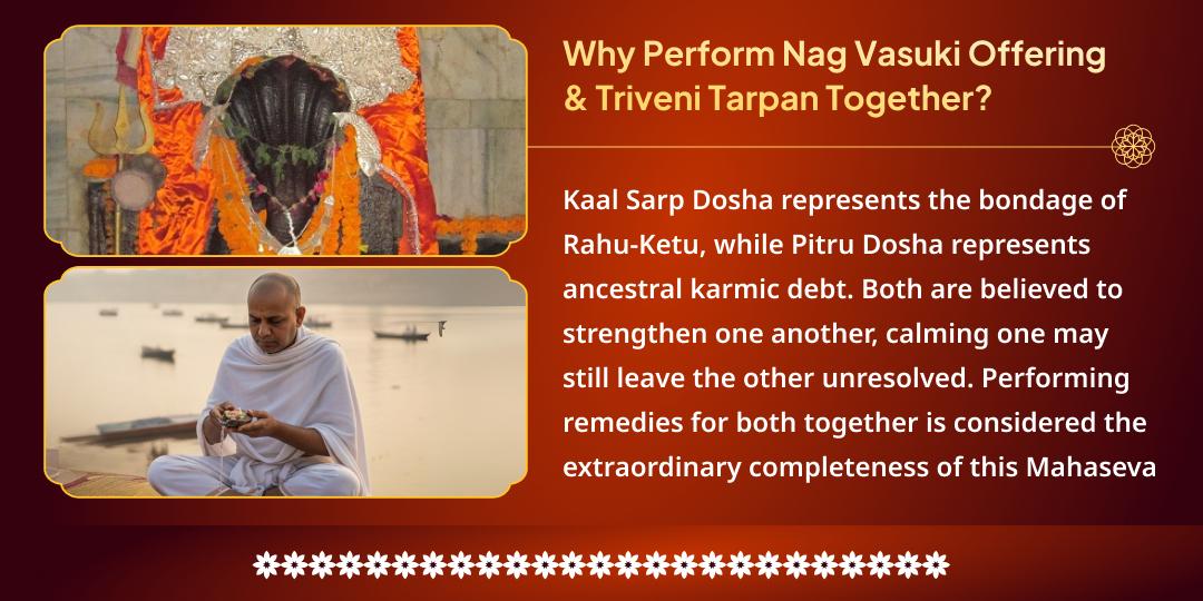 Adhik Krishna Panchami Kaal Sarp Dosha-Pitru Dosha Nivaran Mahaseva 
