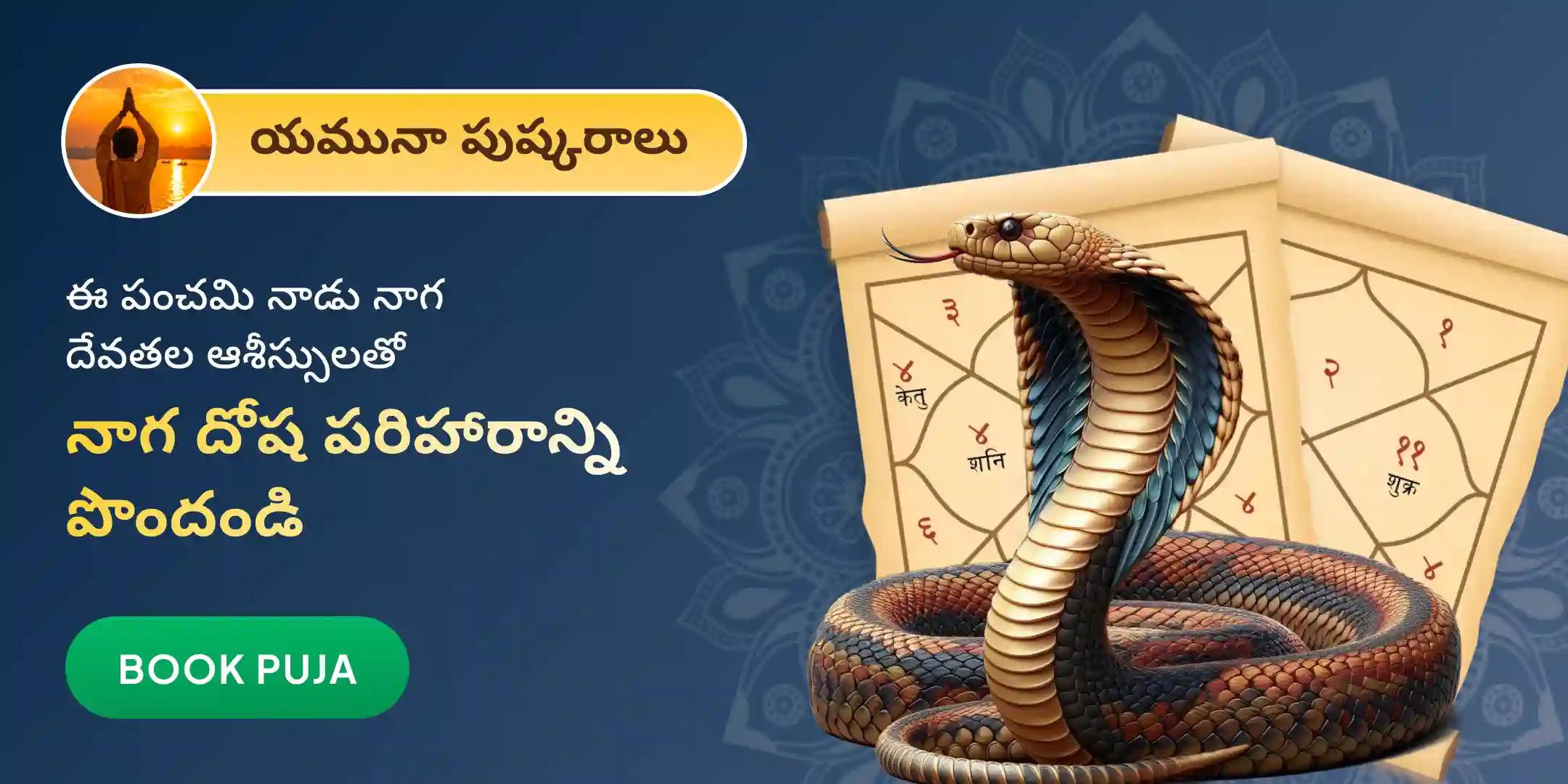 నాగదోష పరిహారం కోసం నాగ తర్పణం మరియు ఆశ్లేష బలి పూజ