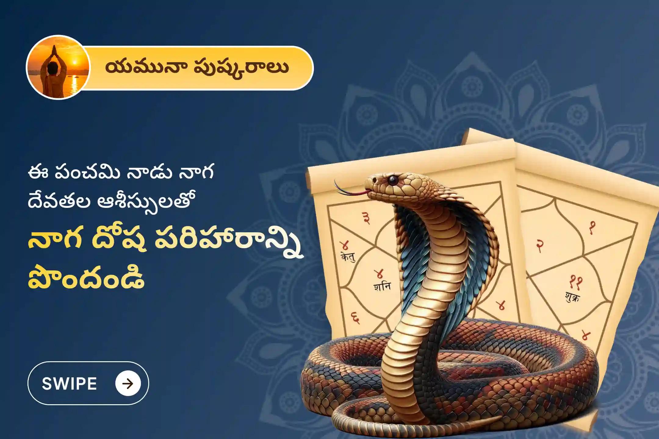 🕉️ ప్రతి 12 సంవత్సరాలకు ఒకసారి వచ్చే అత్యంత అరుదైన ఈ యమునా పుష్కరాల సమయంలో, కాలసర్ప దోష శాంతి మరియు నాగదోష పరిహారం కోసం నిర్వహించబడుతున్న నాగ తర్పణం మరియు ఆశ్లేష బలి పూజలో పాల్గొనండి 🙏