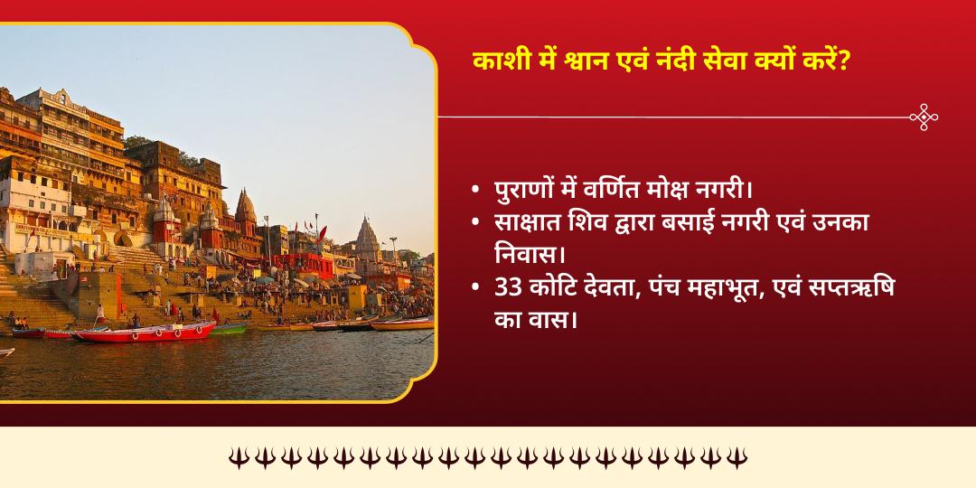 अधिक सोमवार कालाष्टमी शिव - भैरव प्रिय वाहन श्वान एवं नंदी सेवा