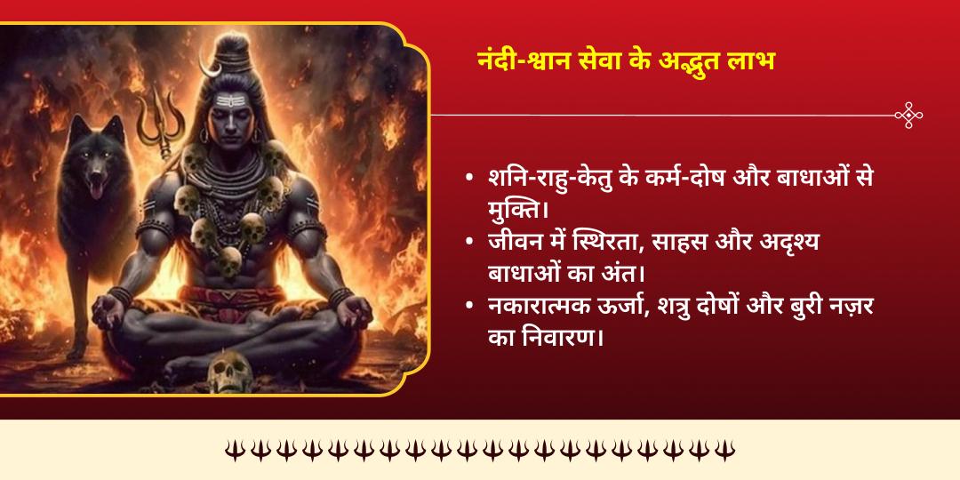 अधिक सोमवार कालाष्टमी शिव - भैरव प्रिय वाहन श्वान एवं नंदी सेवा
