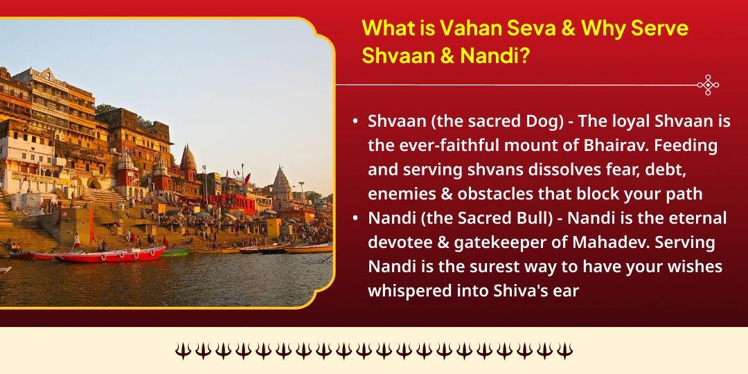 Adhik Somwar Kalashtami Shiv-Bhairav Priya Vahan Seva (Shvaan & Nandi)