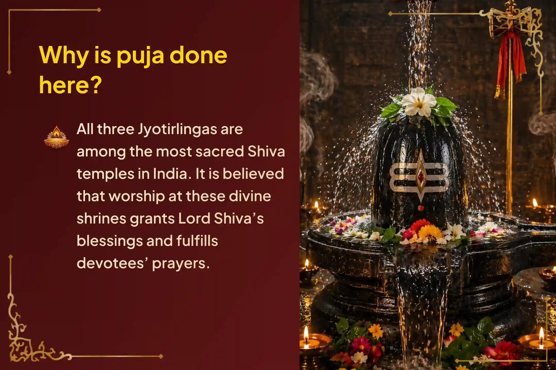 🔱 This rare 3-day Shiva ritual from Masa Shivaratri to Somvati Amavasya across 3 Jyotirlingas brings a divine opportunity for health, strength, and protection. Join this sacred Anushthan today and receive Lord Shiva’s blessings. 🕉️