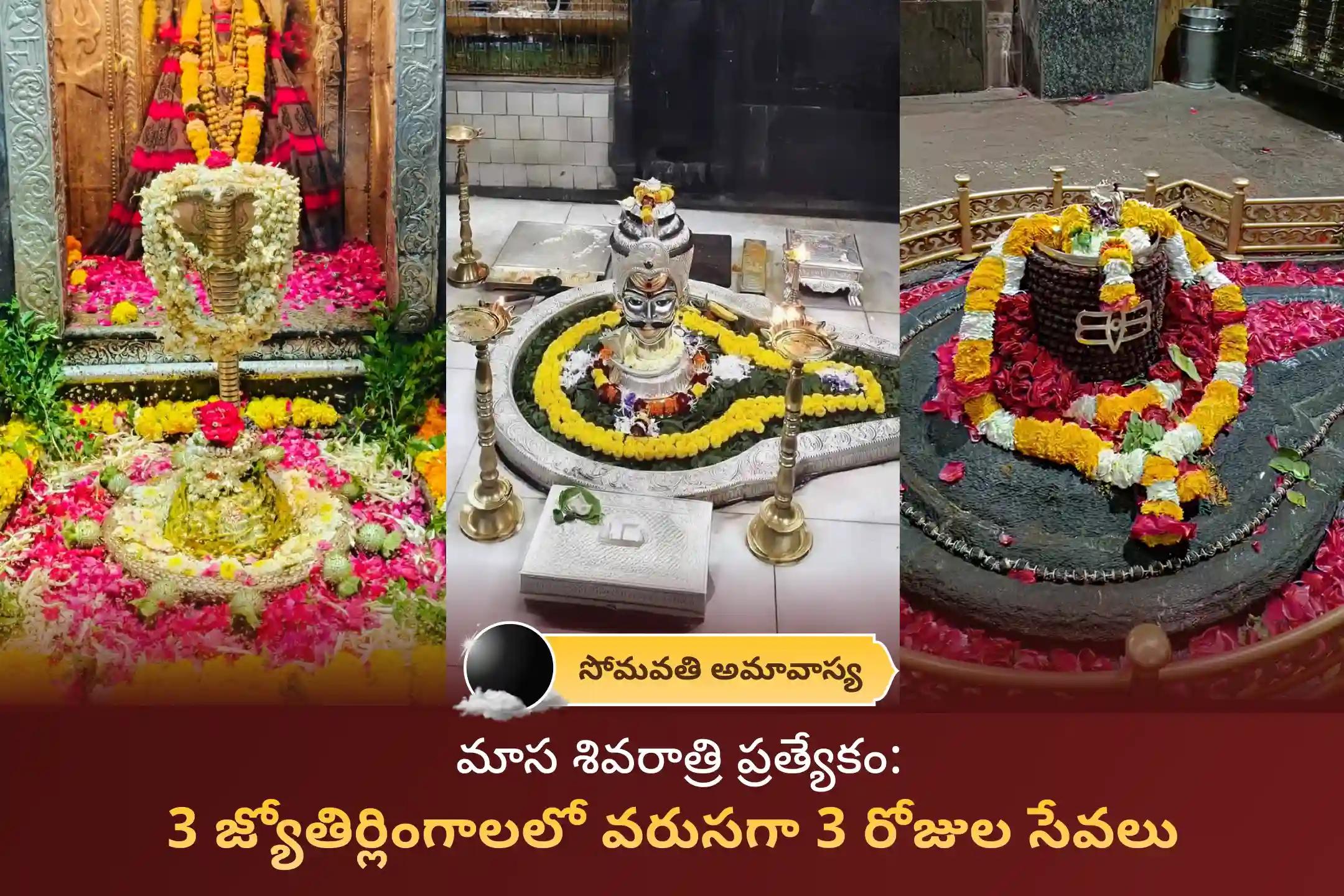 🔱 మీ ఆరోగ్యం, శారీరక బలం మరియు రక్షణ కోసం మాస శివరాత్రి నుండి సోమవతి అమావాస్య వరకు, 3 జ్యోతిర్లింగ క్షేత్రాలలో జరిగే ఈ అరుదైన 3 రోజుల శివ గంగాజల రుద్రాభిషేకం మరియు 108 బిల్వపత్ర అర్చనలో పాల్గొనండి🕉️ 