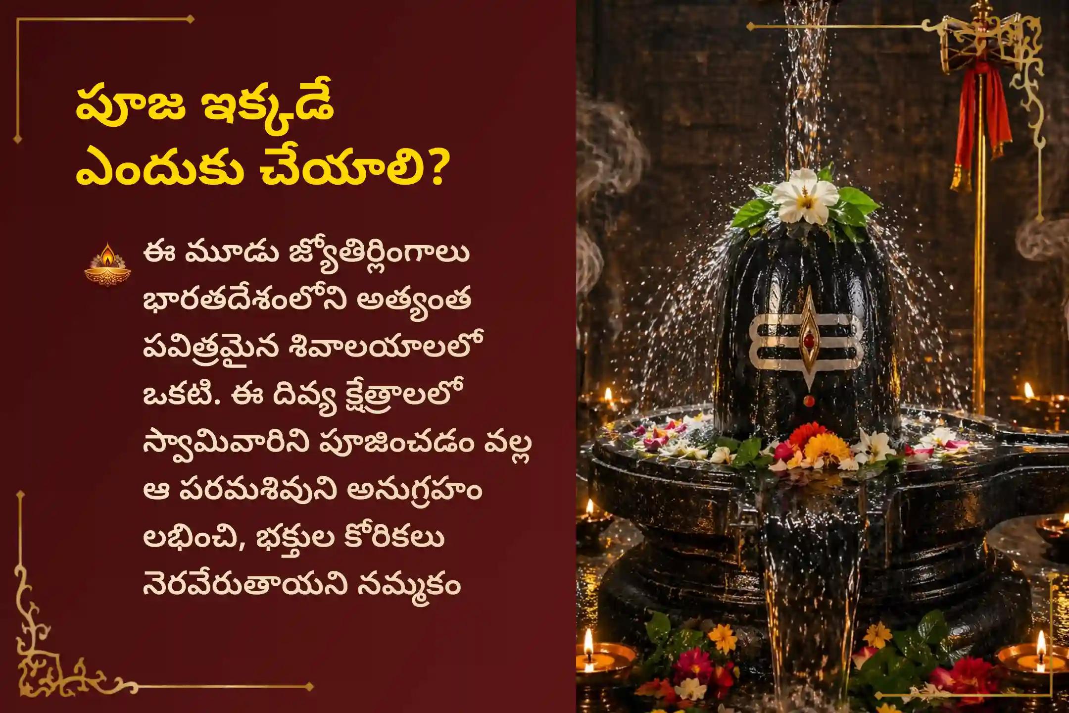 🔱 మీ ఆరోగ్యం, శారీరక బలం మరియు రక్షణ కోసం మాస శివరాత్రి నుండి సోమవతి అమావాస్య వరకు, 3 జ్యోతిర్లింగ క్షేత్రాలలో జరిగే ఈ అరుదైన 3 రోజుల శివ గంగాజల రుద్రాభిషేకం మరియు 108 బిల్వపత్ర అర్చనలో పాల్గొనండి🕉️ 