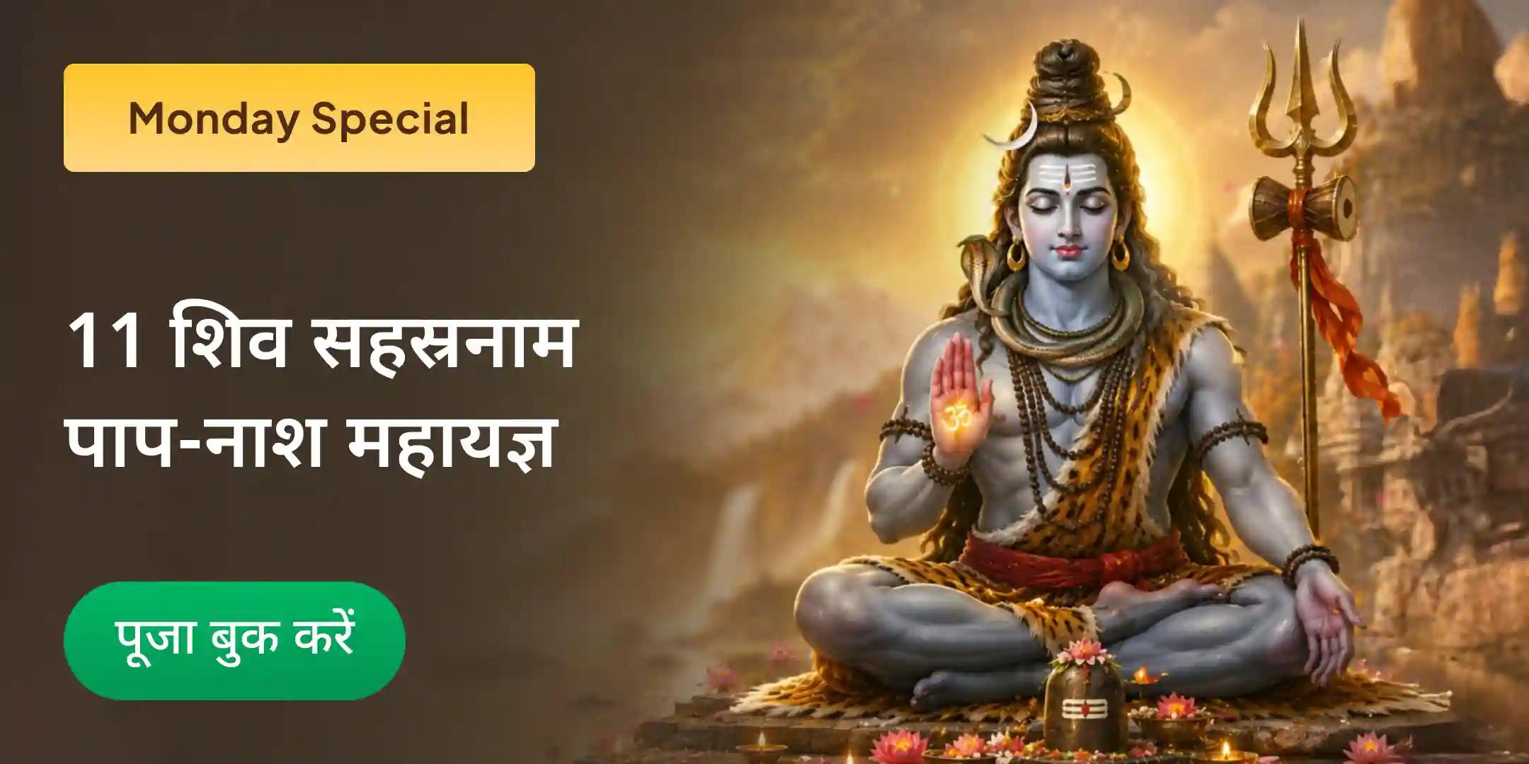 7 पूर्व जन्मों के पाप नाश हेतु विशेष 11 शिव सहस्रनाम पाठ एवं पाप नाश महायज्ञ