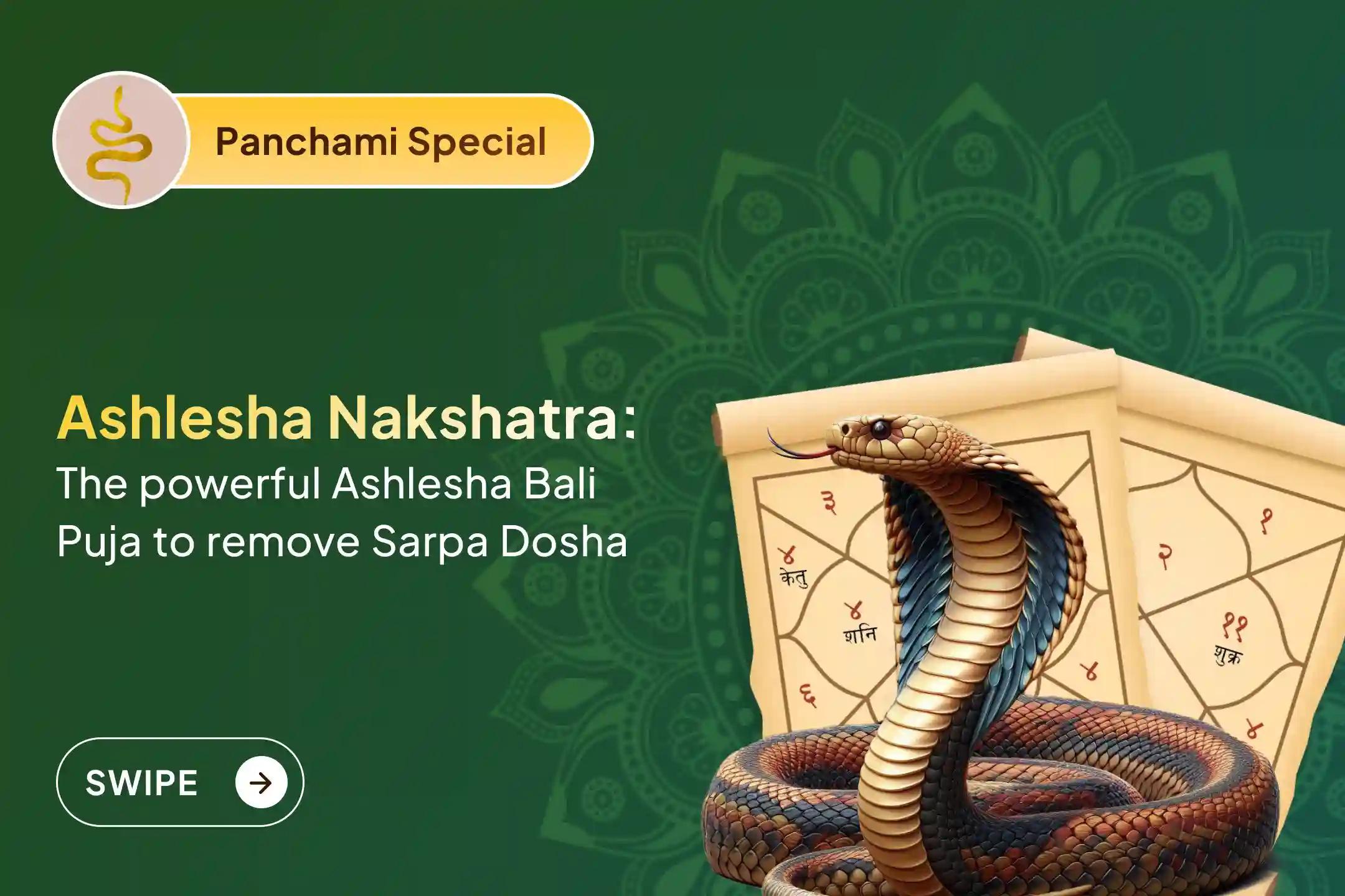 Participate in the Panchami & Ashlesha Nakshatra Gokarna Special Ashlesha Bali Puja to remove the malicious effects of Sarpa (Naga) Dosha and clean karmic sins