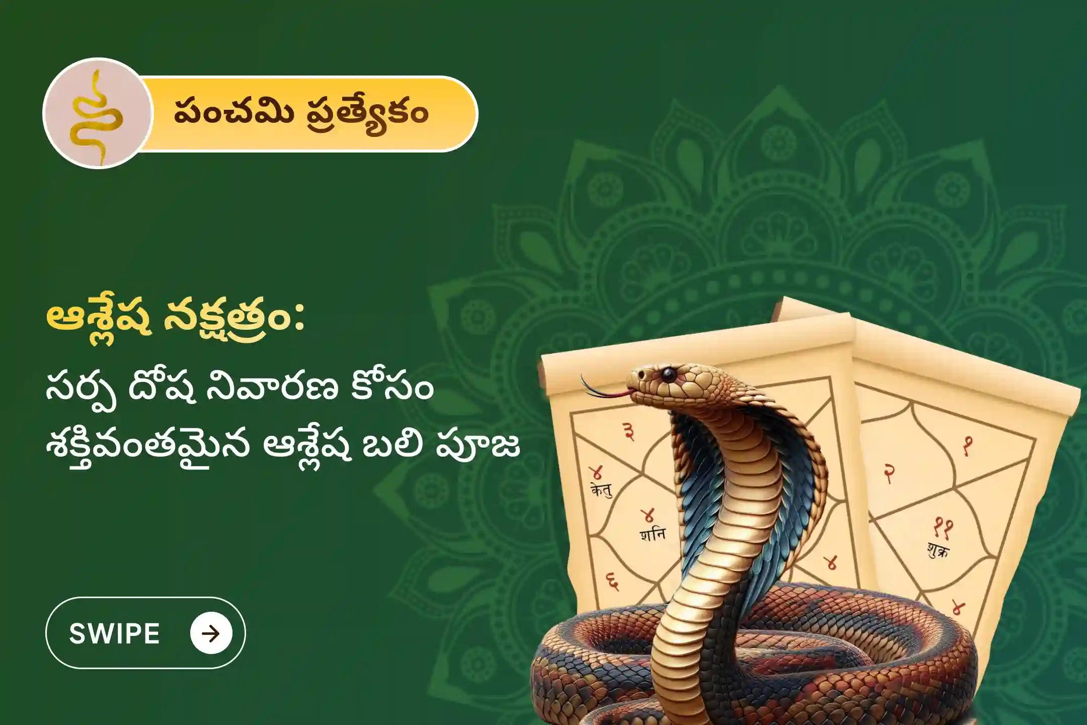 సర్ప (నాగ) దోషం యొక్క దుష్ప్రభావాలను తొలగించి, కర్మ పాపాలను ప్రక్షాళన చేసుకోవడం కొరకు పంచమి & ఆశ్లేష నక్షత్రం ప్రత్యేక ఆశ్లేష బలి పూజలో పాల్గొనండి.