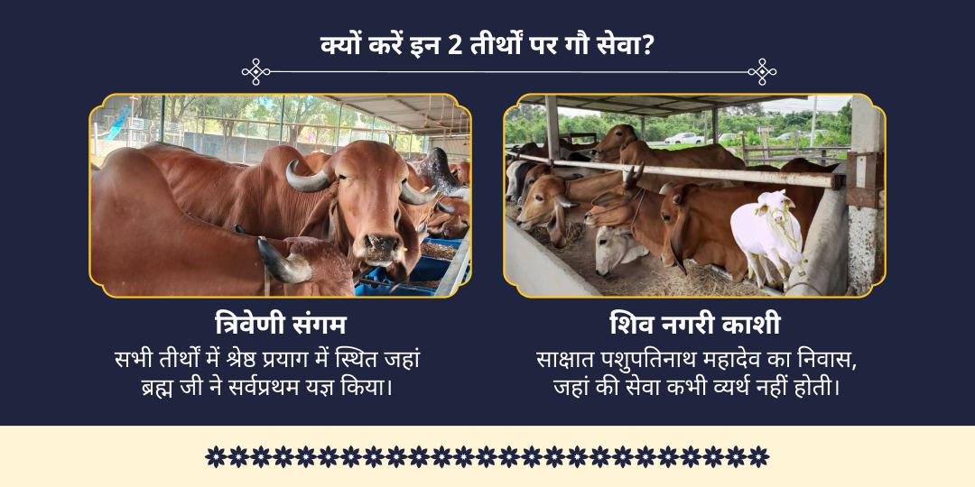 ज्येष्ठ पूर्णिमा 2 तीर्थ श्री कृष्ण प्रिय गौ सेवा 