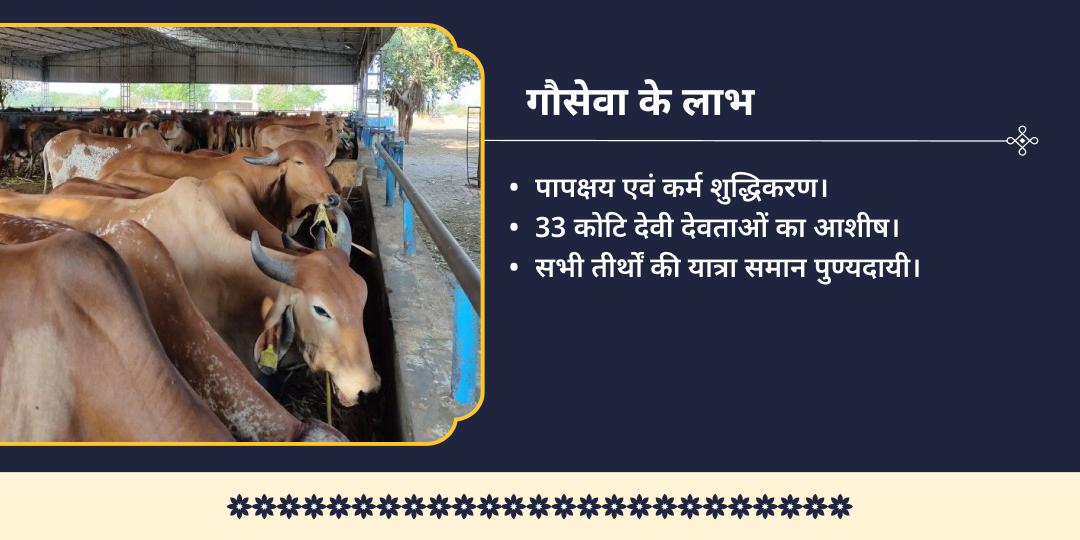 ज्येष्ठ पूर्णिमा 2 तीर्थ श्री कृष्ण प्रिय गौ सेवा 