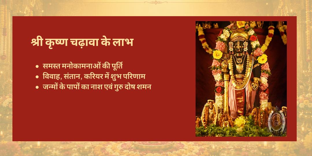 गुरुवार विशेष श्री कृष्ण उडुपी चढ़ावा