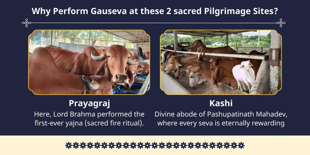 Jyestha Purnima 2 Teerth Shri Krishna Priya Gauseva
