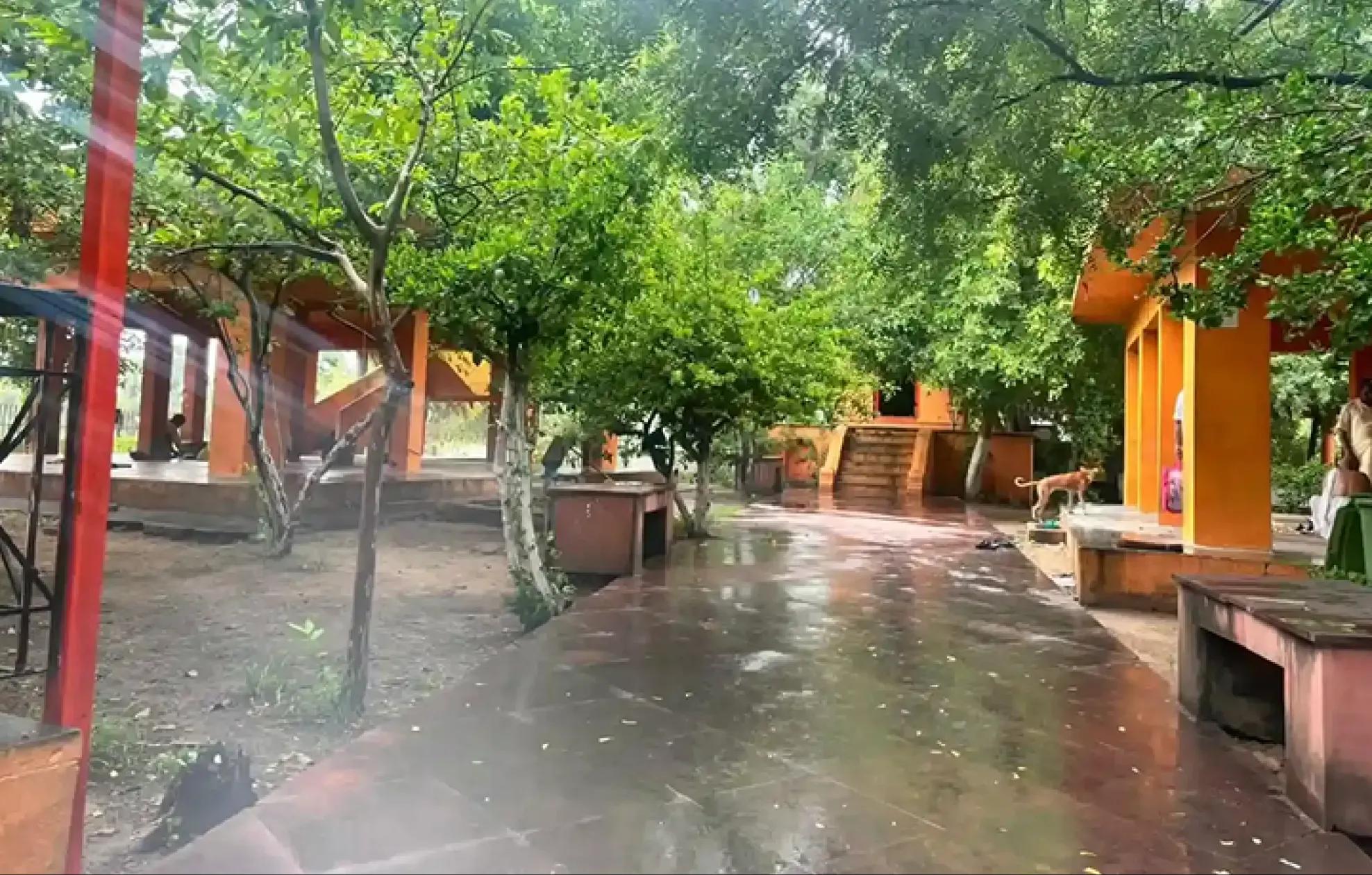 धर्मारण्य वेदी, गया, बिहार