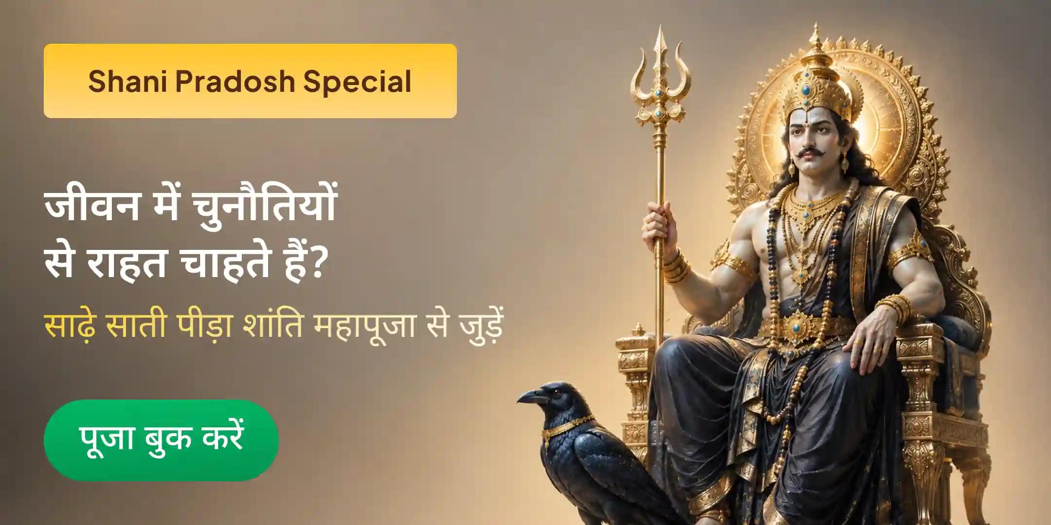 शनि साढ़े साती पीड़ा शांति महापूजा, शनि तिल तेल अभिषेक और महादशा शांति महापूजा