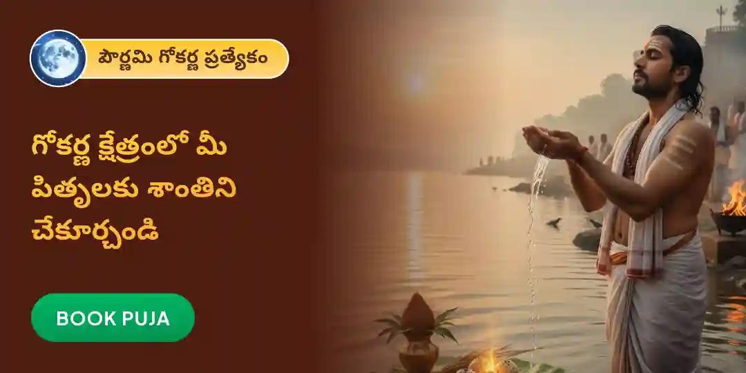 నారాయణ బలి, త్రిపిండి శ్రాద్ధం మరియు తిల హోమం