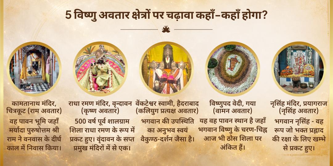 निर्जला एकादशी 26 एकादशी पुण्य प्राप्ति 5 विष्णु अवतार महा चढ़ावा