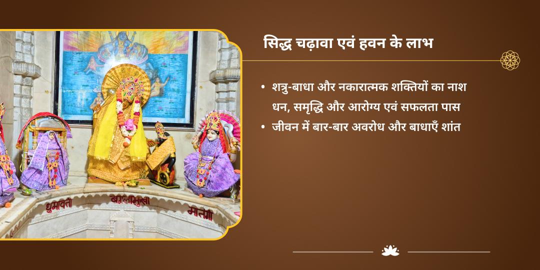 आर्द्रा शक्ति देवी पुनः प्राकट्य योग 10 महाविद्या हवन एवं चढ़ावा