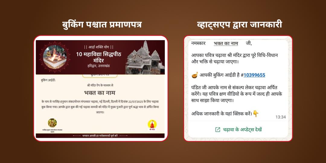 आर्द्रा शक्ति देवी पुनः प्राकट्य योग 10 महाविद्या हवन एवं चढ़ावा