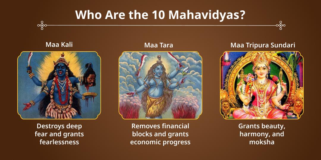 Ardra Shakti Devi Punah Prakatya Yog 10 Mahavidya Havan & Chadhava 