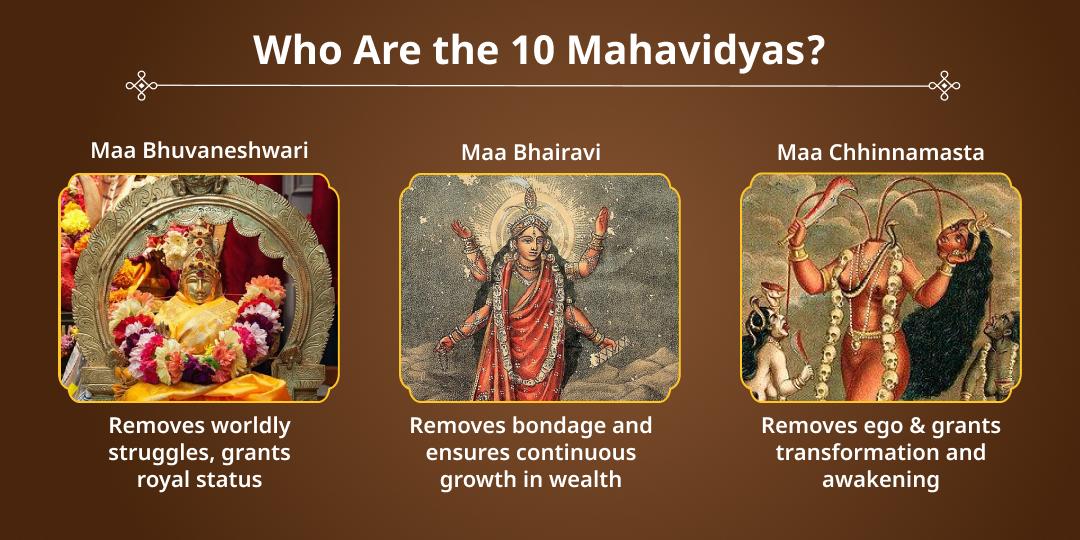 Ardra Shakti Devi Punah Prakatya Yog 10 Mahavidya Havan & Chadhava 