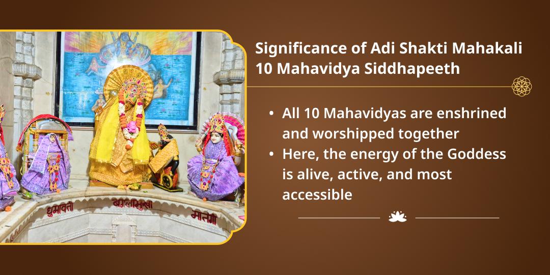 Ardra Shakti Devi Punah Prakatya Yog 10 Mahavidya Havan & Chadhava 