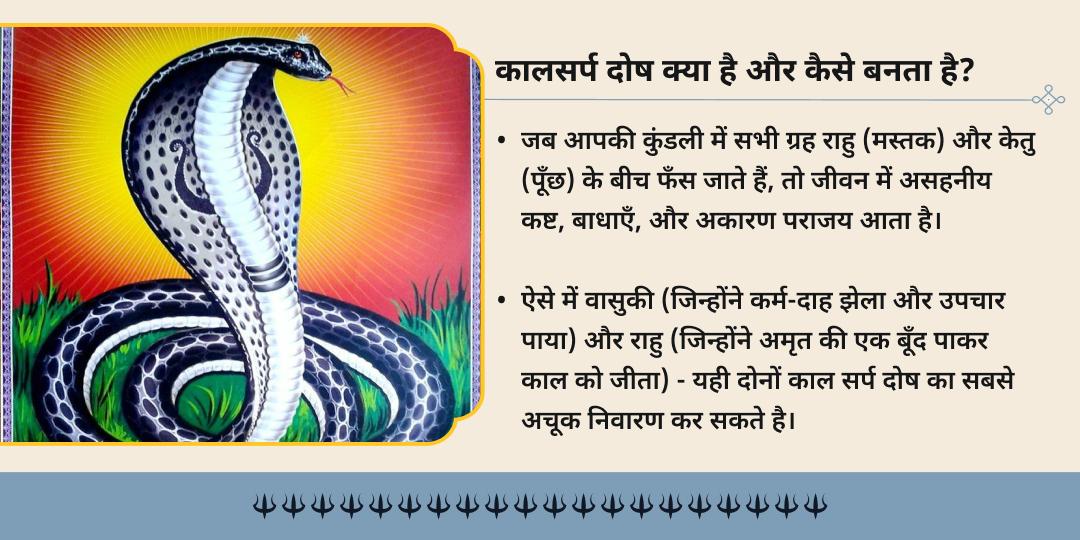 आषाढ़ पंचमी शतभिषा नक्षत्र विशेष कालसर्प दोष शांति चढ़ावा