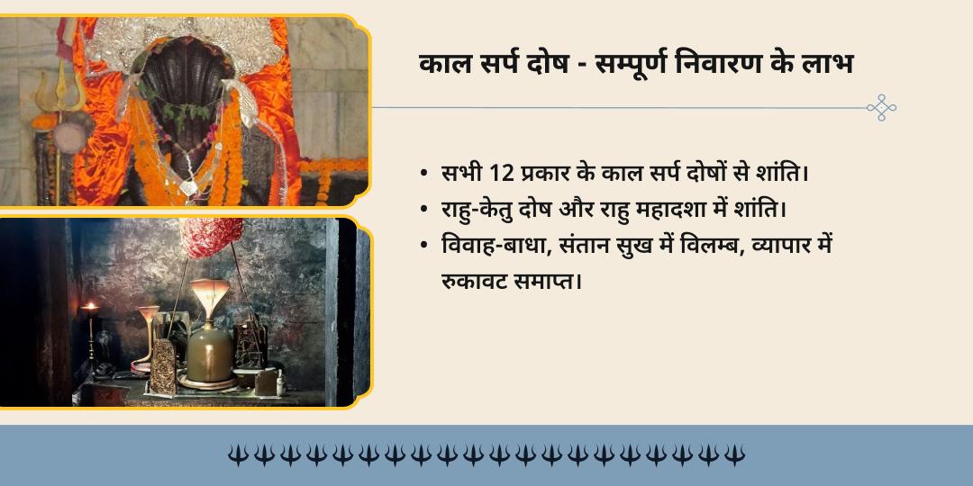 आषाढ़ पंचमी शतभिषा नक्षत्र विशेष कालसर्प दोष शांति चढ़ावा