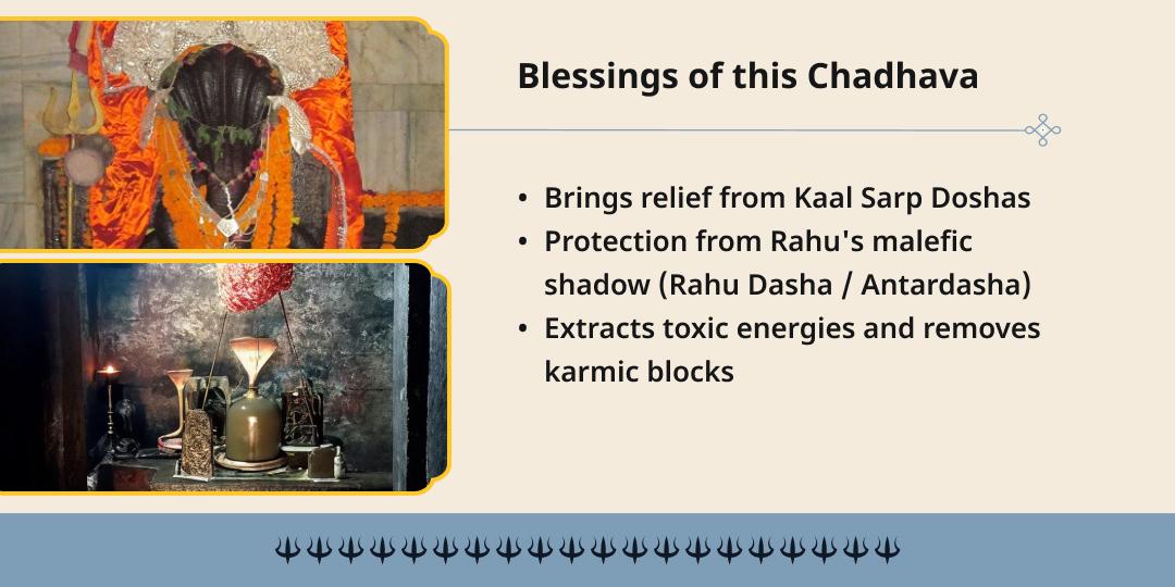 Ashadha Panchami-Shatabisha Nakshatra Special Kaal Sarp Dosha Shanti Chadhava 
