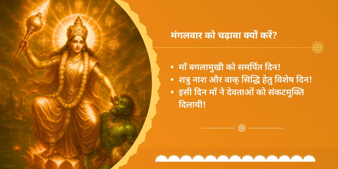 मंगलवार विजयप्राप्ति माँ बगलामुखी चढ़ावा