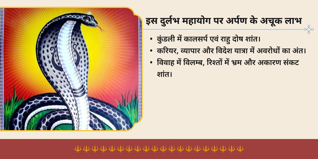 आषाढ़ पंचमी शतभिषा नक्षत्र राहु दोष शांति चढ़ावा