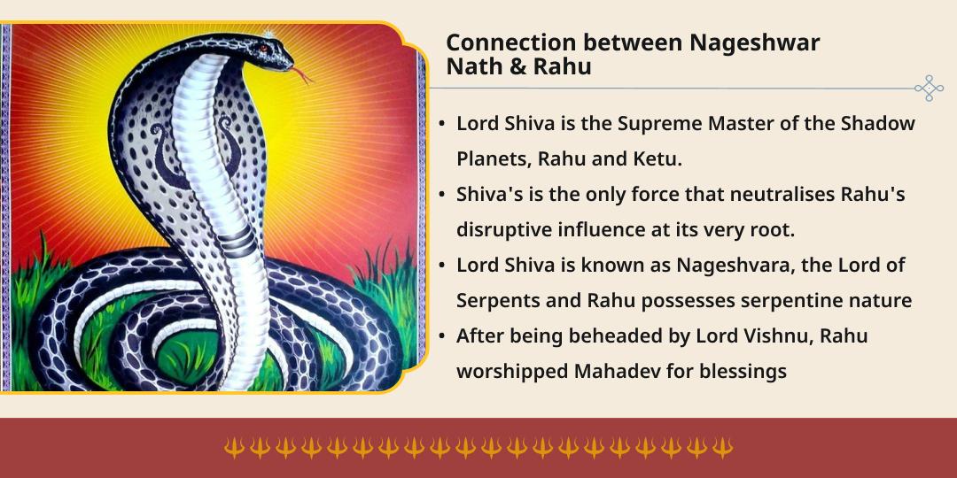 Ashadha Panchami-Shatabisha Nakshatra Rahu Dosha Shanti Chadhava 