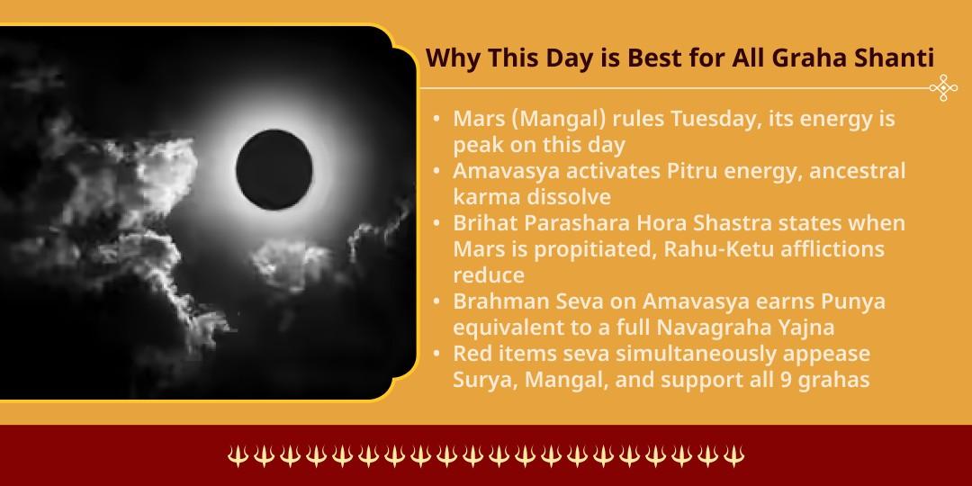 Bhaumvati Amavasya Kundli Shanti Red Items Brahman Seva 
