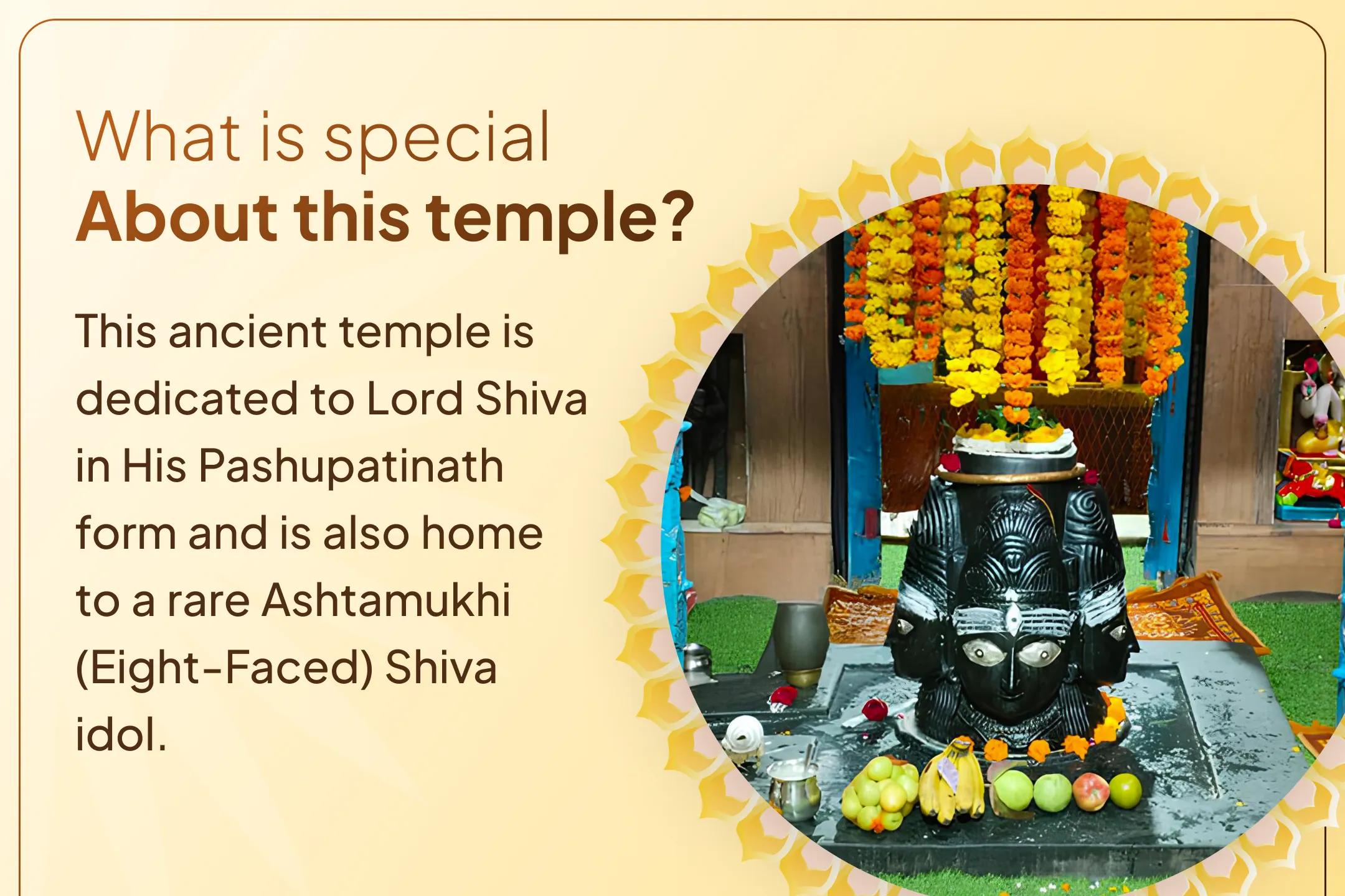 Join the sacred Pashupatinath Bhasma Aarti and seek the blessings of good health.