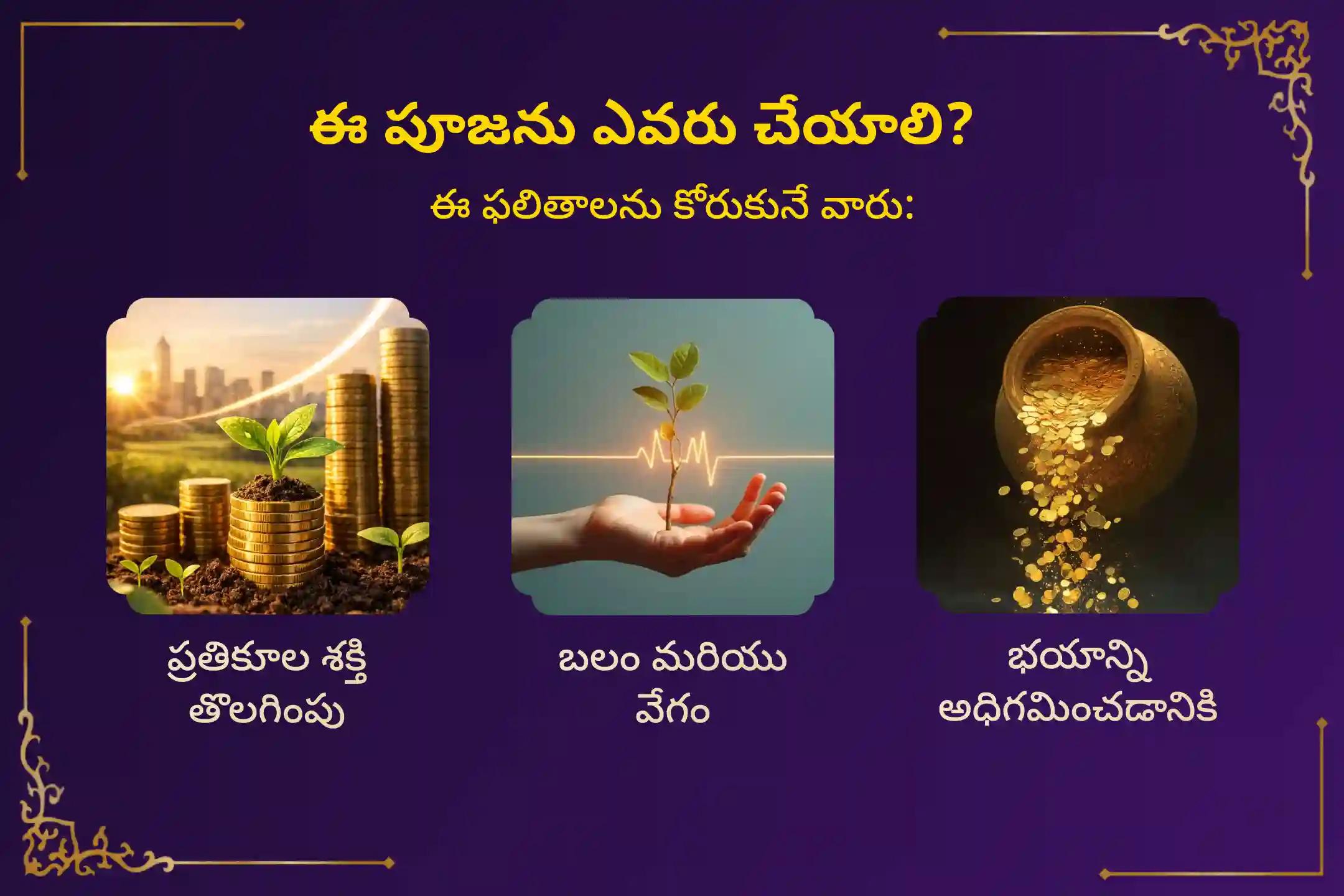 ప్రతికూలతను తొలగించడానికి,భయం, ఆందోళన మరియు మానసిక అయోమయాన్ని దూరం చేయడానికి ఏకాదశి శ్రీ మహావిష్ణు ప్రత్యేక సుదర్శన హోమంలో పాల్గొనండి.