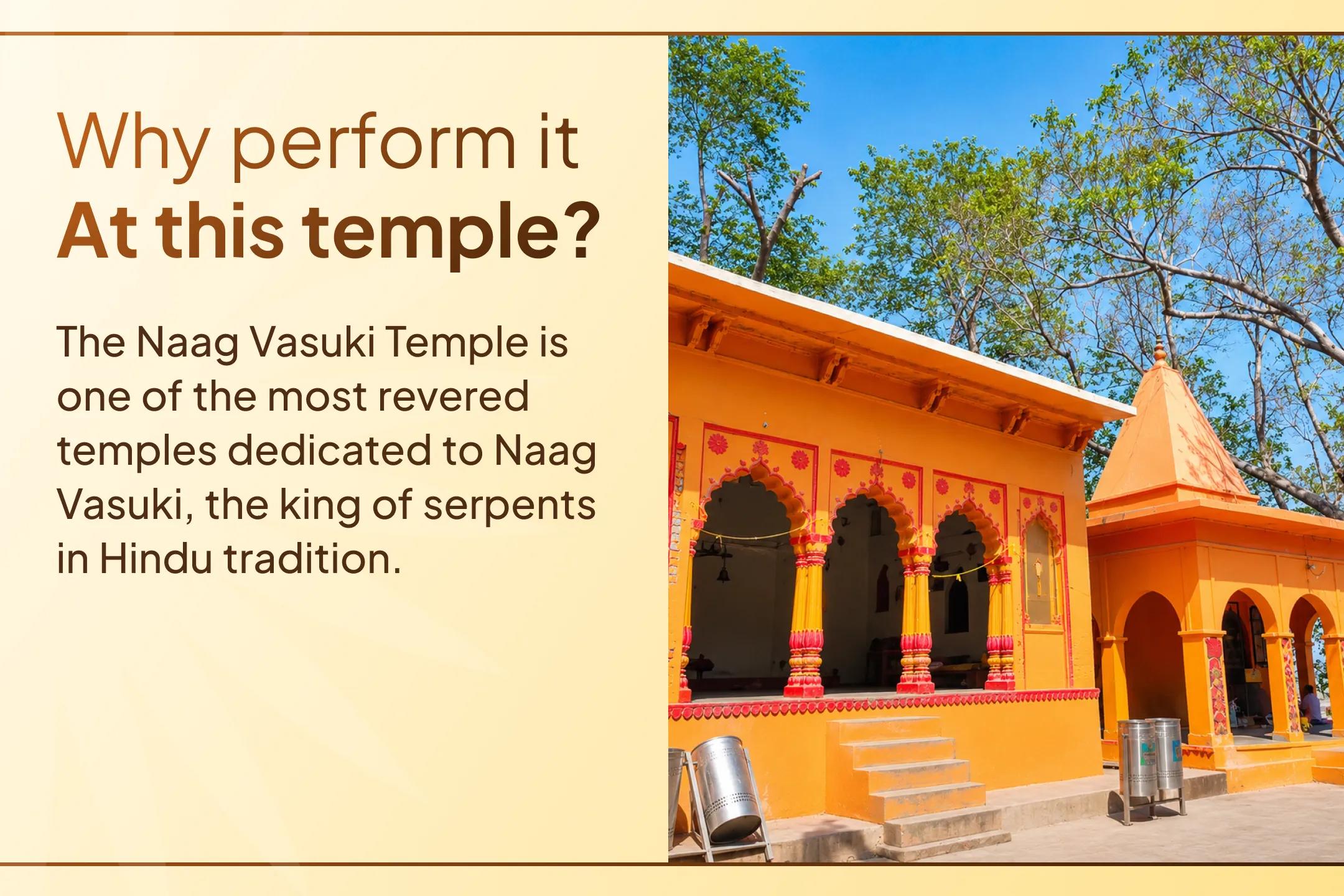 🐍 This Rahu Nakshatra, seek Lord Shiva and Naagraj Vasuki's blessings through the sacred Kaal Sarp Shanti Anushthan for career growth, success, and obstacle-free progress. 