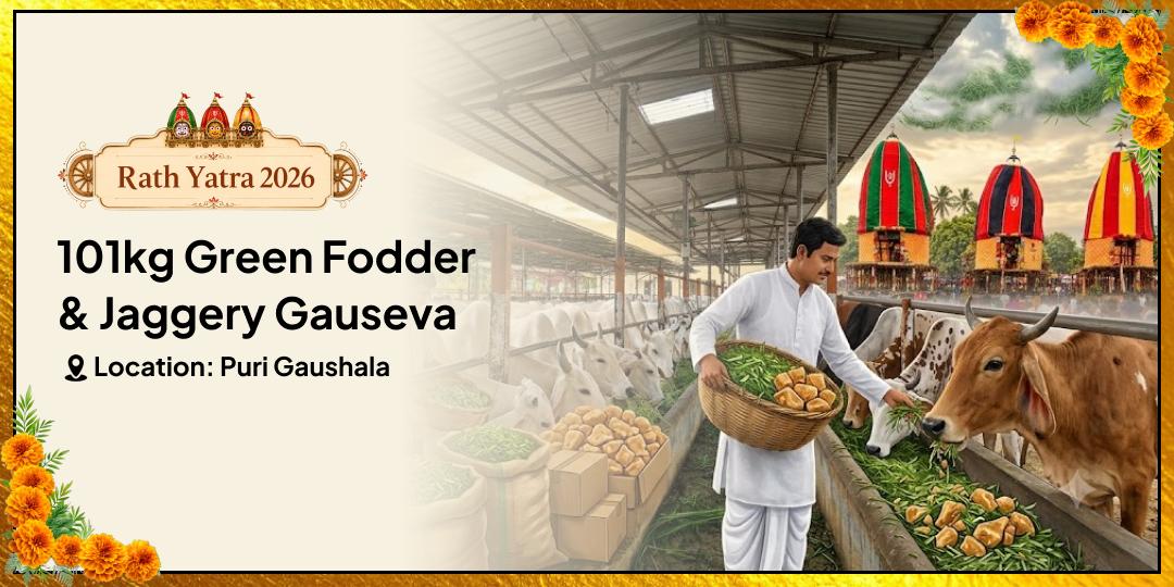 Once in a Year! On the First Day of Rath Yatra — 101kg Green Fodder + Jaggery Maha Seva at Puri Gaushala — For Relief from Financial Hardship, Pitru Dosha & Planetary Afflictions — Join Now!