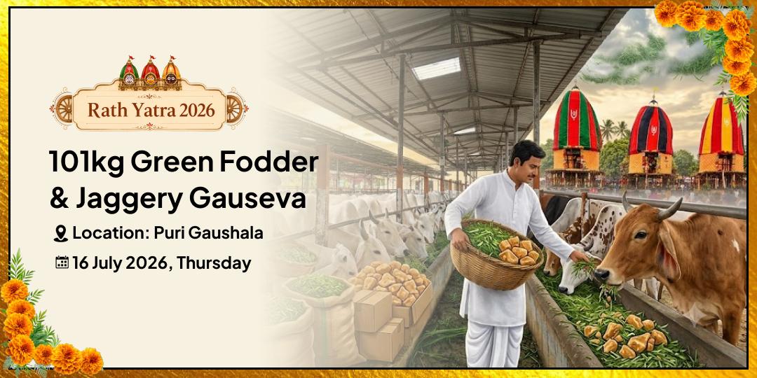 Rath Yatra 101kg Green Fodder & Jaggery Gauseva at Puri Gaushala