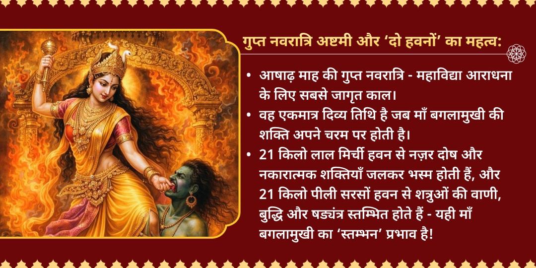 गुप्त नवरात्रि अष्टमी 21kg लाल मिर्ची नज़र दोष हवन - 21kg पीली सरसों शत्रु विजय हवन आहुति 