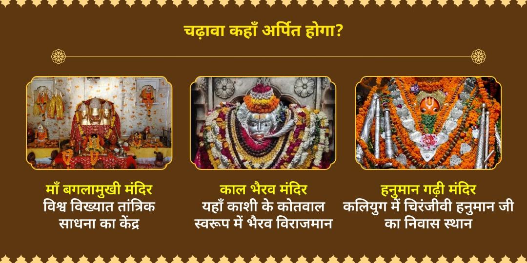 गुप्त नवरात्रि अष्टमी शत्रु-भय, संकट नाश त्रि शक्ति रक्षा कवच चढ़ावा