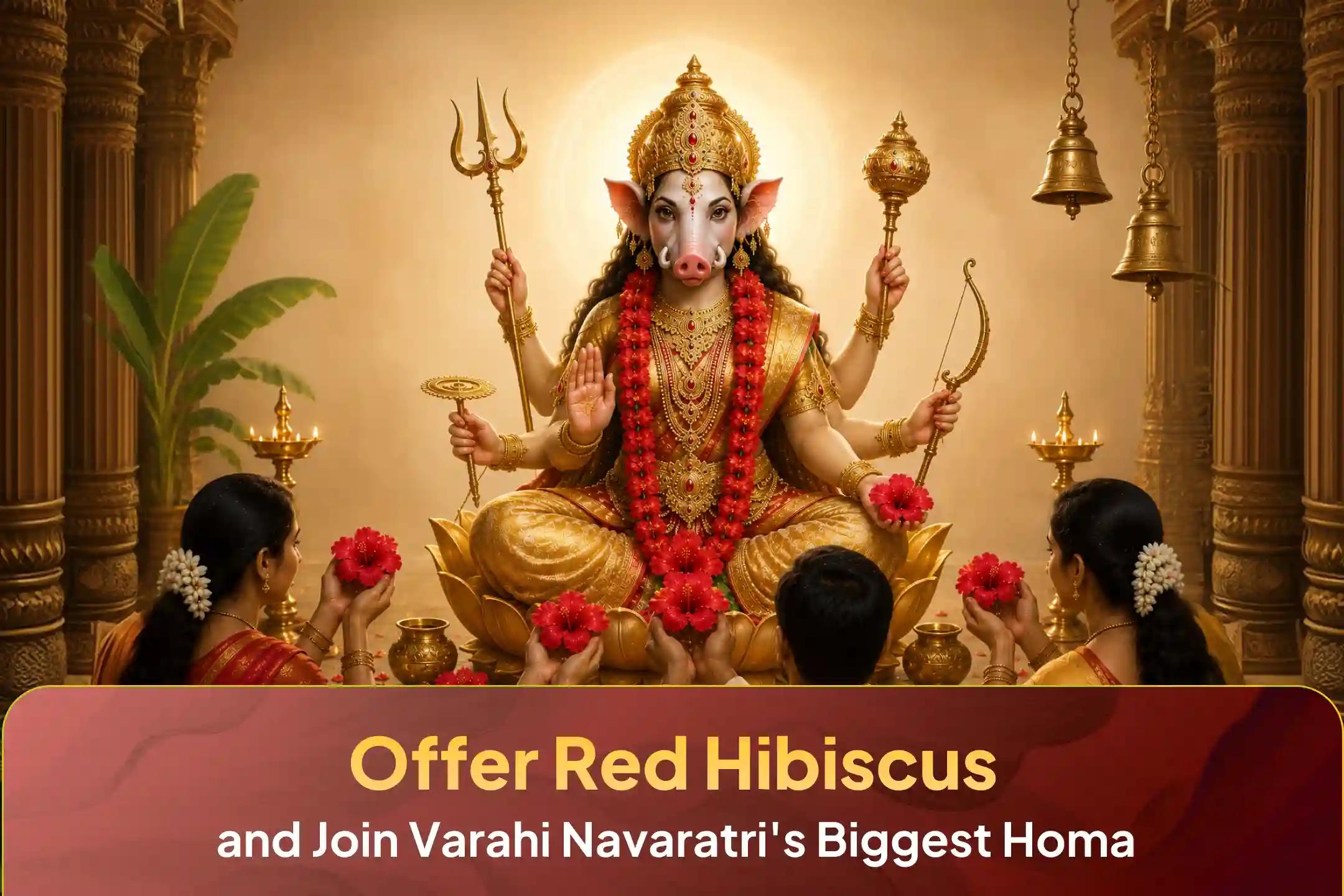🕉️Participate in the Varahi Devi 11kg Red Javakusum Arpan and 100 Kg Sesame Seeds Homam on Varahi Panchami to get relief from Kuja, Rahu, or Chandra graha dosha-related problems.🙏