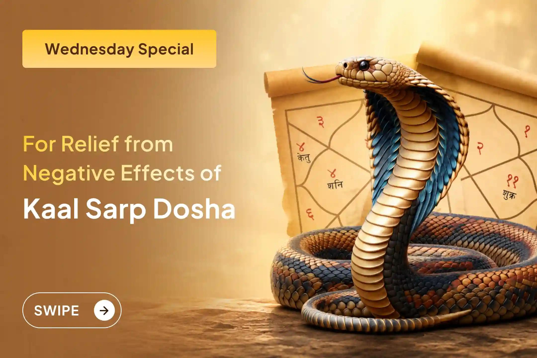 🐍 Troubled by the effects of Kaal Sarp Dosha? Seek relief through the Kaal Sarp Dosha Shanti Puja at Trimbakeshwar Kshetra during Rahu Nakshatra.