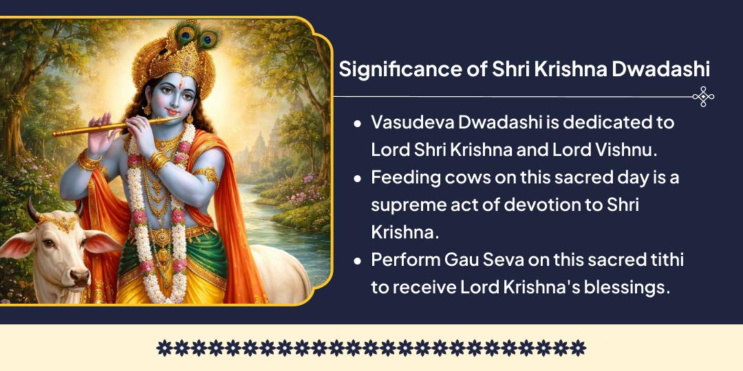 Feed 21 Cows on Shri Krishna Dwadashi