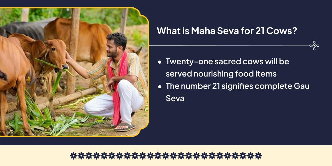 Feed 21 Cows on Shri Krishna Dwadashi
